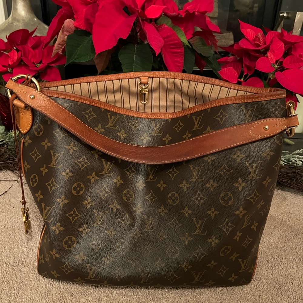 Louis Vuitton Delightful Handbag